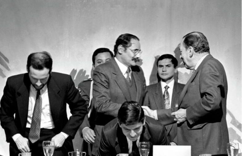 Artículo "Constitución de 1991 El árbol que no logra echar raíces"